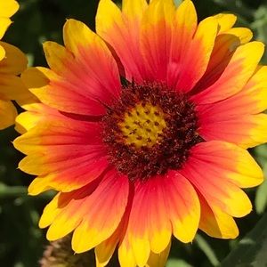 Meet your Posher, Kelley